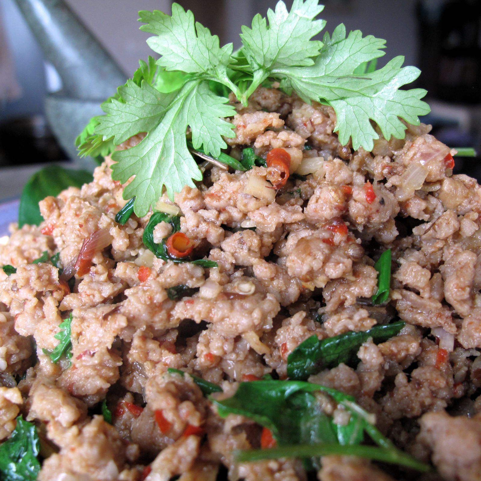 Northern Thai Style Pork Salad