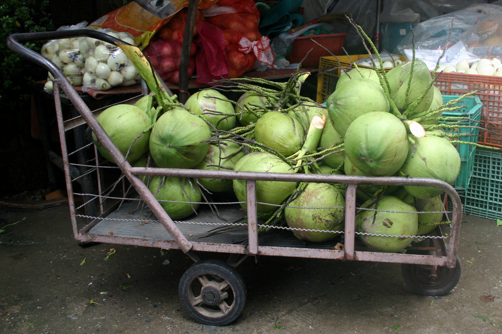 Cart of Coconuts