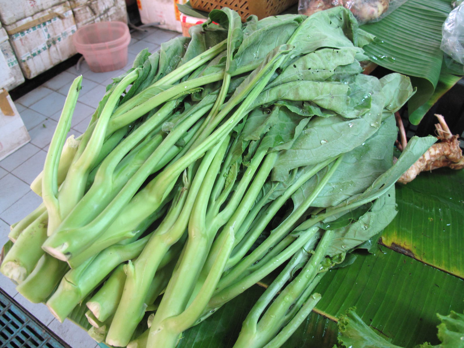 Chinese Kale | Traveling Chili